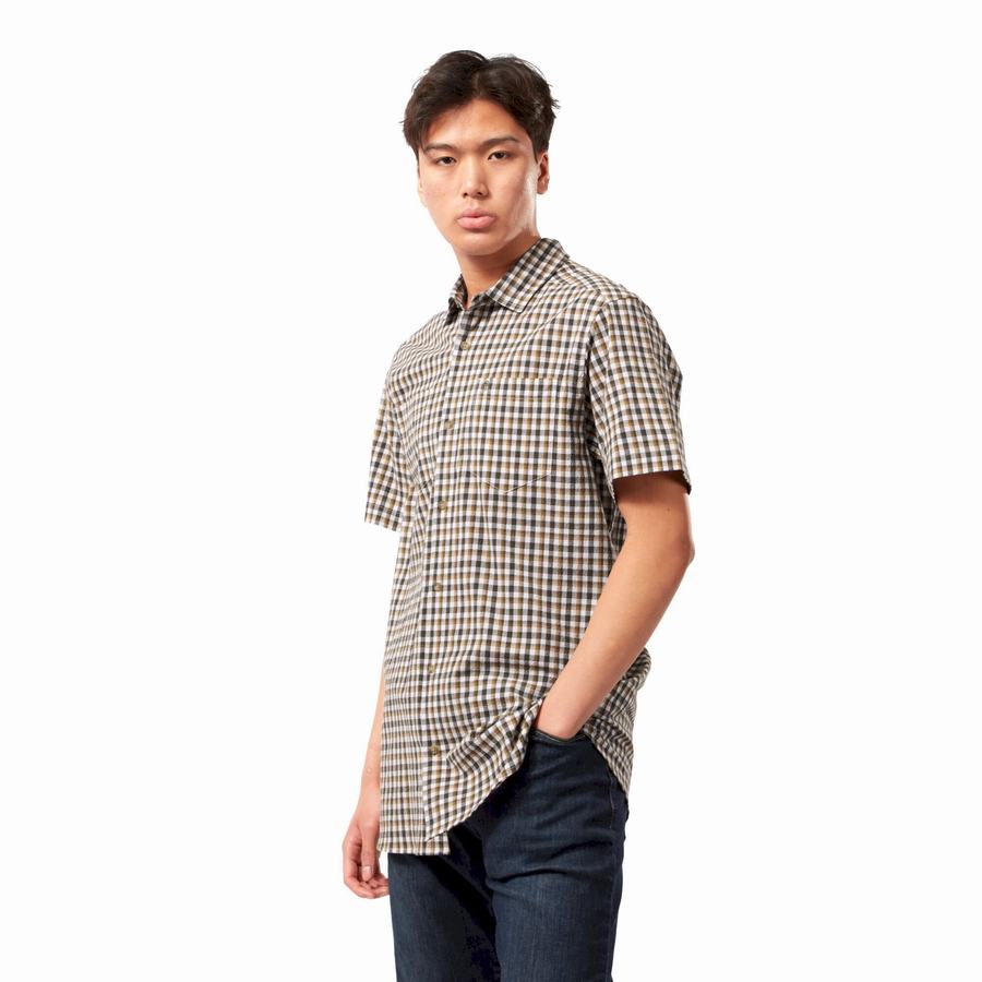 Green Craghoppers Nour Short Sleeved Check Men's Shirts | CPK9362GW