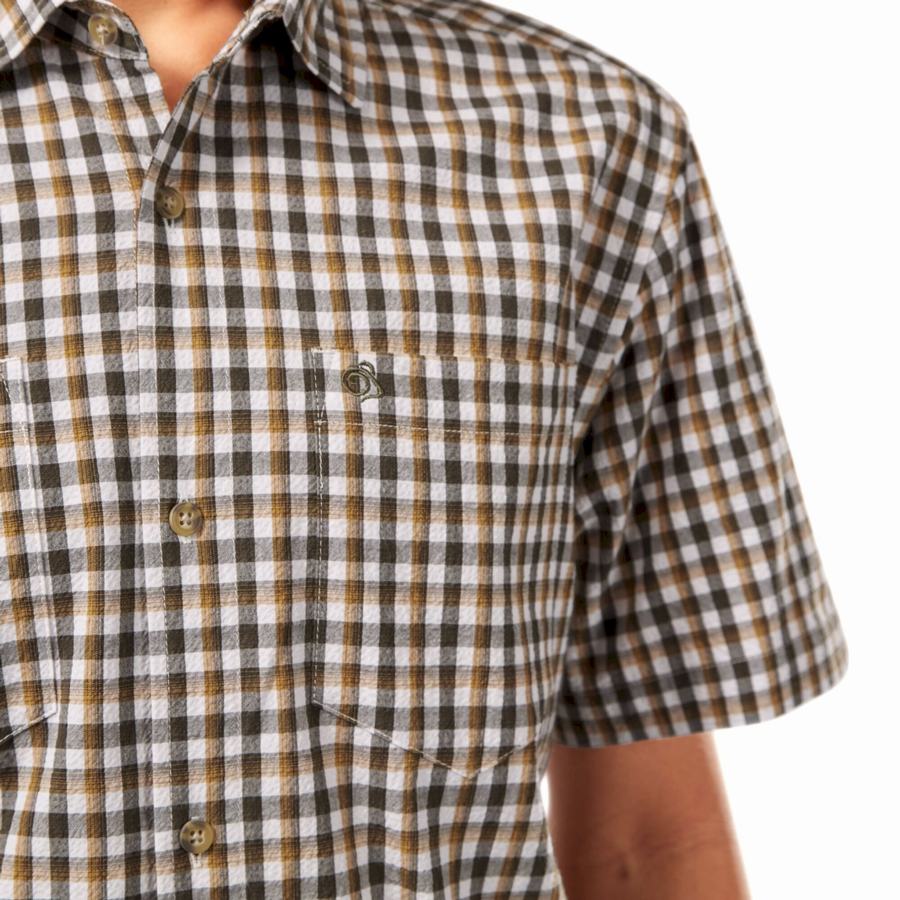 Green Craghoppers Nour Short Sleeved Check Men's Shirts | CPK9362GW