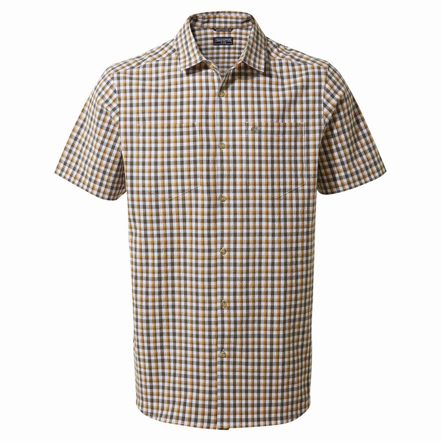 Green Craghoppers Nour Short Sleeved Check Men's Shirts | CPK9362GW