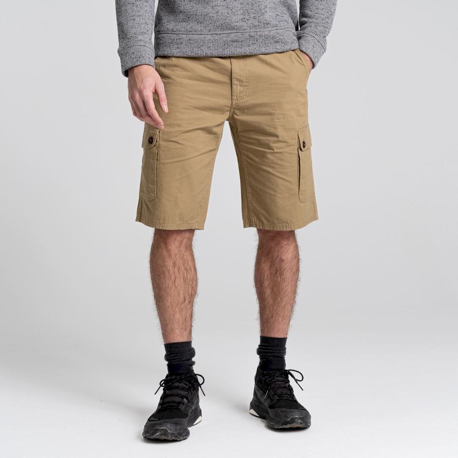 Green Craghoppers Thallon Men's Shorts | YQU1576BU