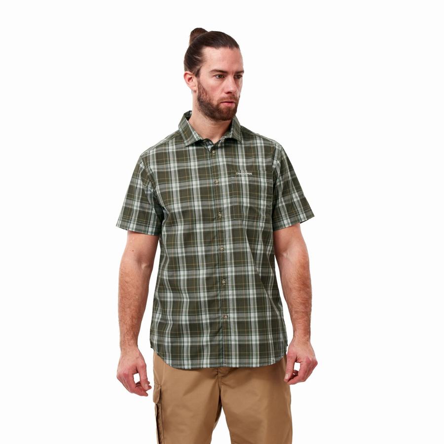 Green Craghoppers Vernon Short Sleeved Men's Shirts | SMN3188PV