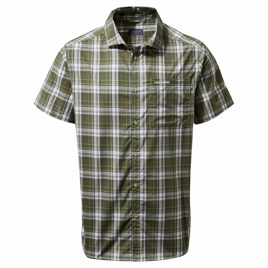 Green Craghoppers Vernon Short Sleeved Men's Shirts | SMN3188PV