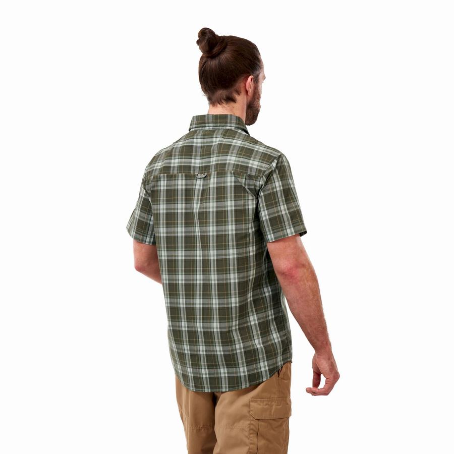 Green Craghoppers Vernon Short Sleeved Men's Shirts | SMN3188PV