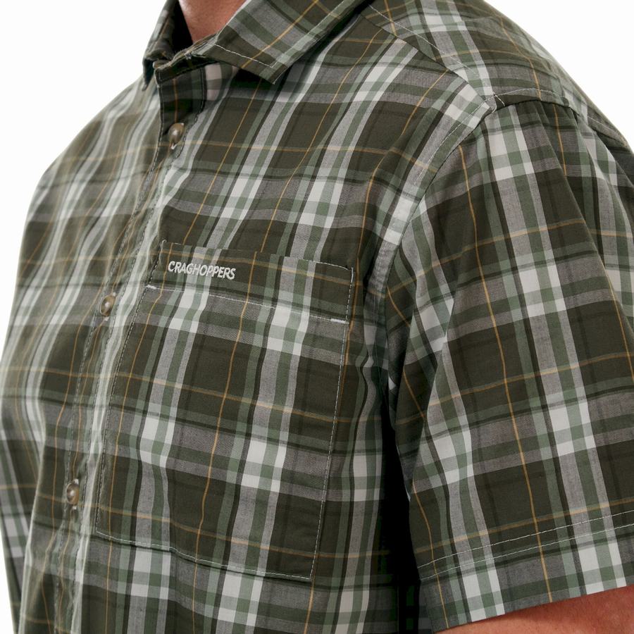 Green Craghoppers Vernon Short Sleeved Men's Shirts | SMN3188PV