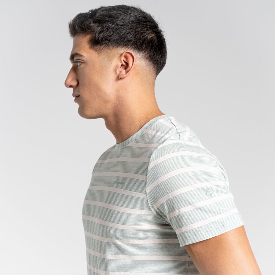 Green Stripes Craghoppers Nosibotanical Sten Short Sleeved Men's T-Shirts | WON2185MJ