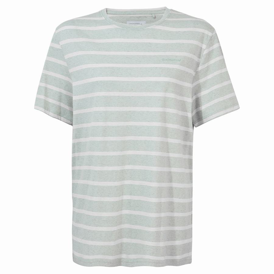 Green Stripes Craghoppers Nosibotanical Sten Short Sleeved Men's T-Shirts | WON2185MJ