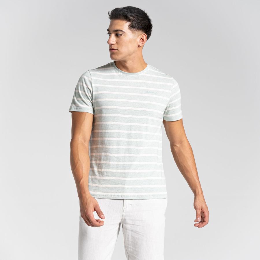 Green Stripes Craghoppers Nosibotanical Sten Short Sleeved Men's T-Shirts | WON2185MJ