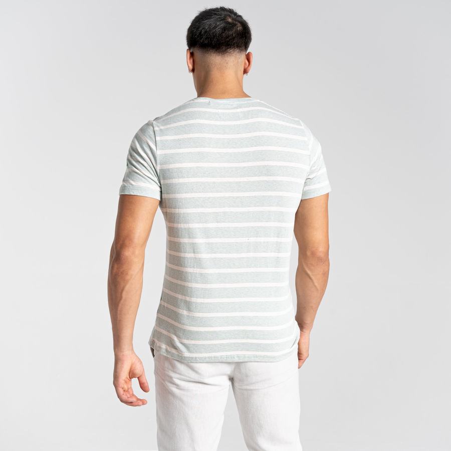 Green Stripes Craghoppers Nosibotanical Sten Short Sleeved Men's T-Shirts | WON2185MJ