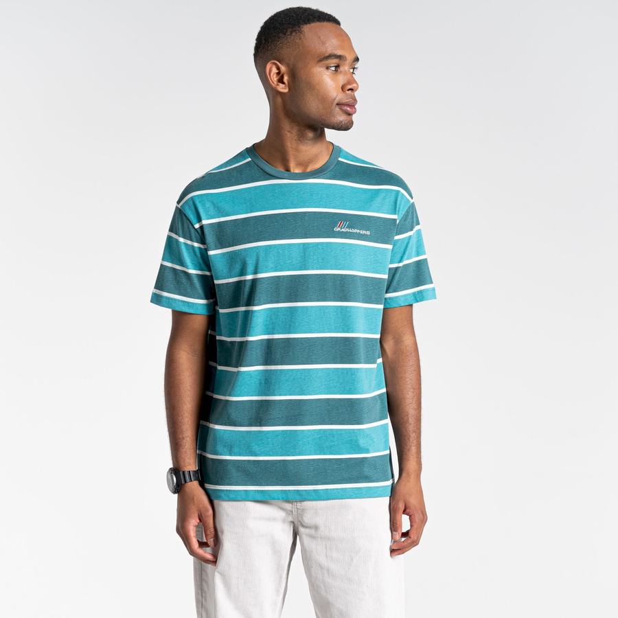 Green Stripes Craghoppers Ventura Short Sleeved Men's T-Shirts | AWC4453FK