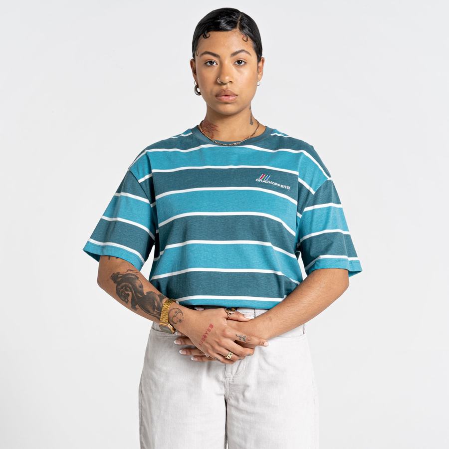 Green Stripes Craghoppers Ventura Short Sleeved Men's T-Shirts | AWC4453FK