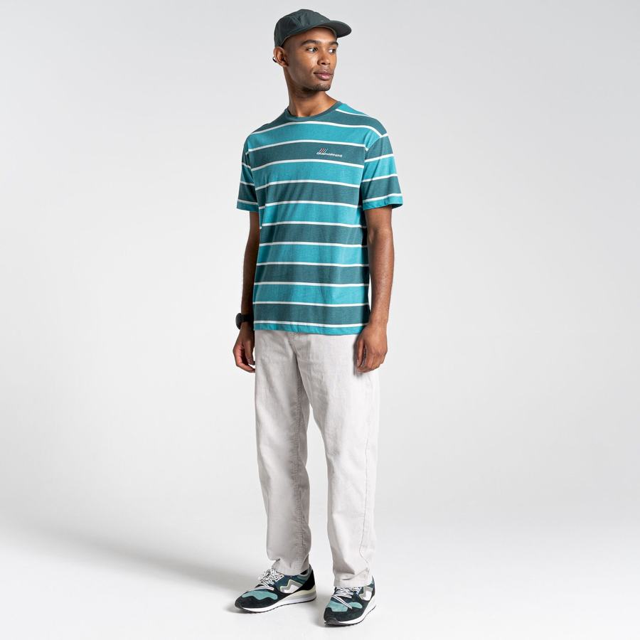 Green Stripes Craghoppers Ventura Short Sleeved Men's T-Shirts | AWC4453FK