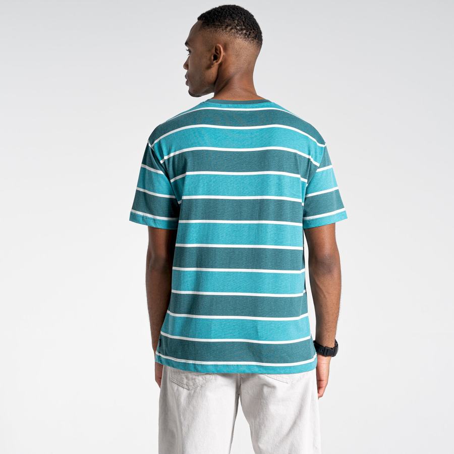 Green Stripes Craghoppers Ventura Short Sleeved Men's T-Shirts | AWC4453FK