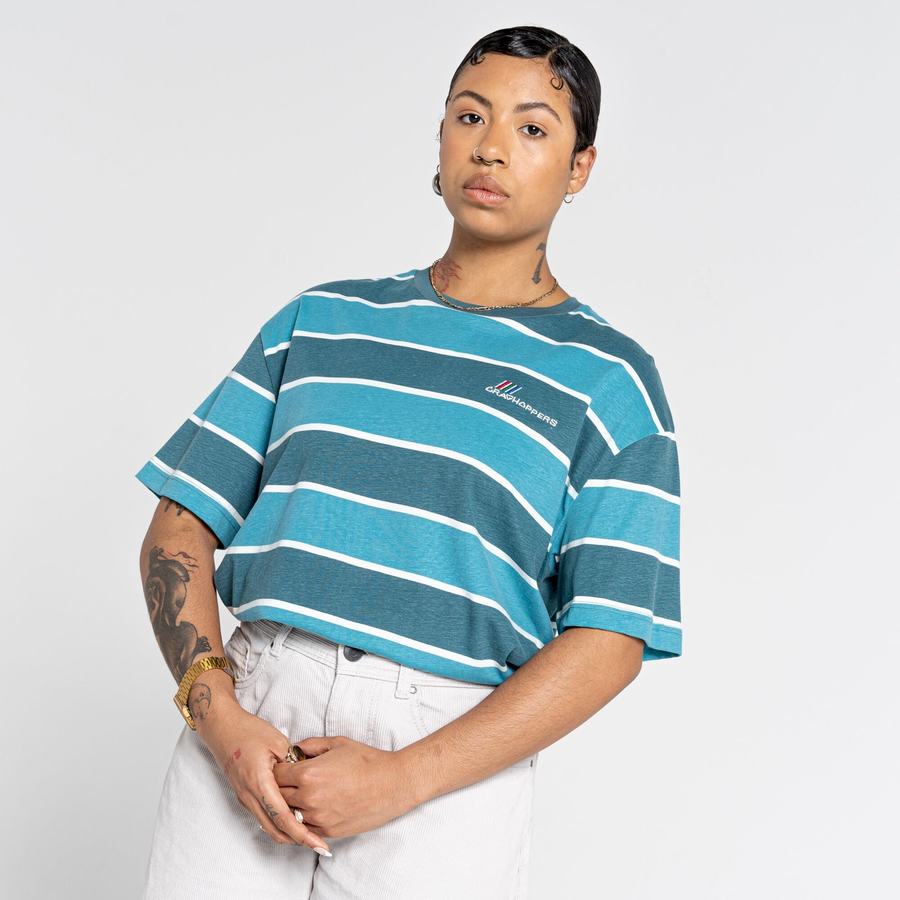 Green Stripes Craghoppers Ventura Short Sleeved Men's T-Shirts | AWC4453FK