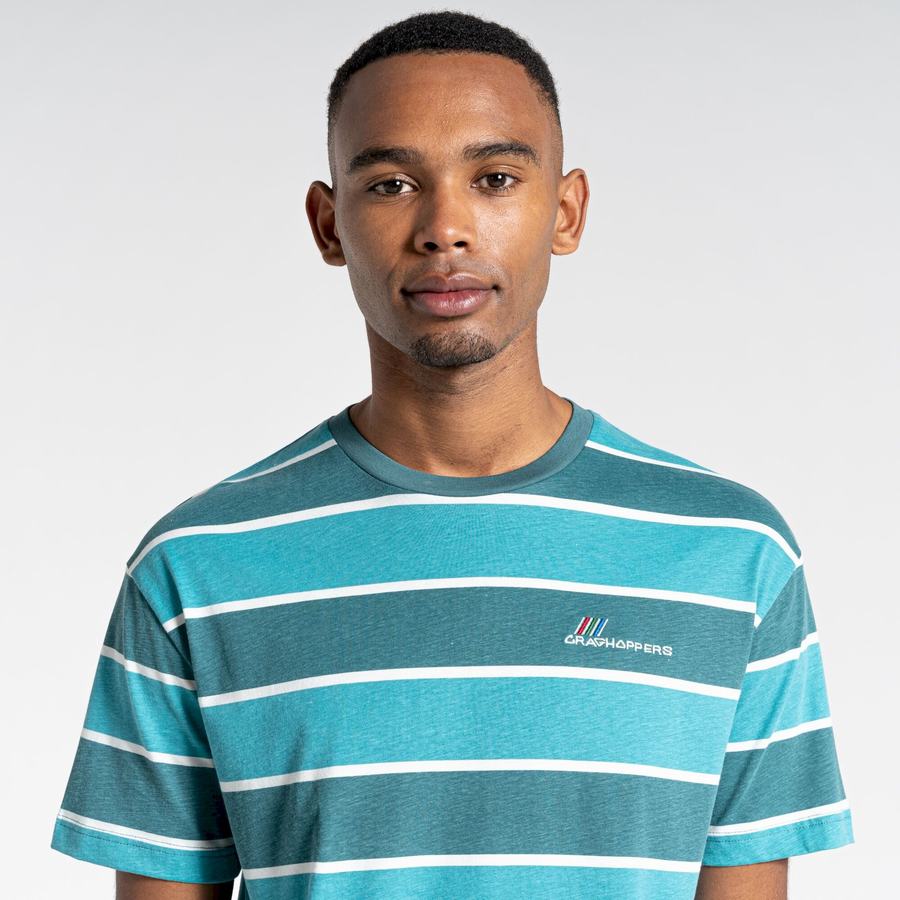 Green Stripes Craghoppers Ventura Short Sleeved Men's T-Shirts | AWC4453FK