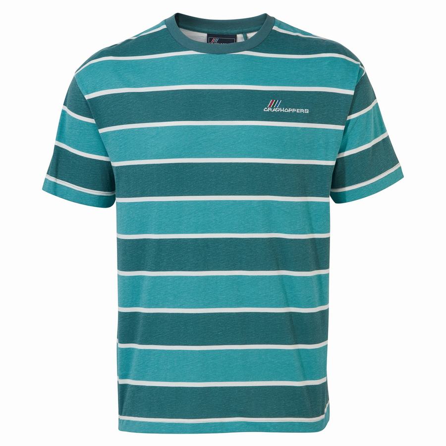 Green Stripes Craghoppers Ventura Short Sleeved Men\'s T-Shirts | AWC4453FK