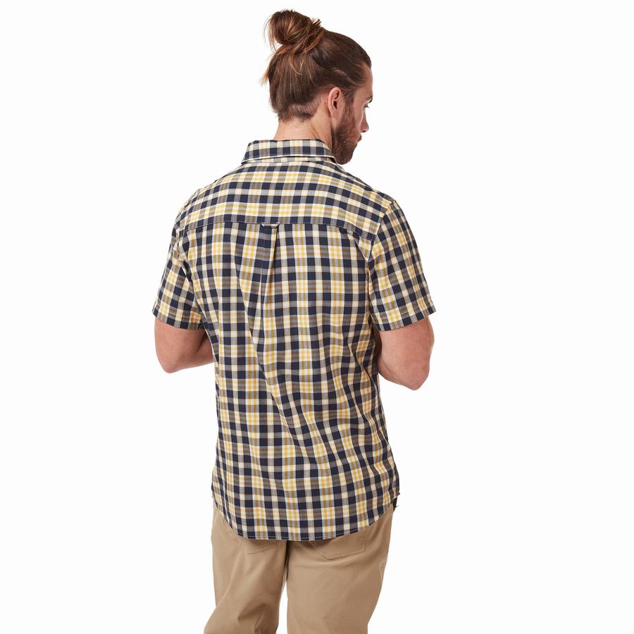 Grey Blue Craghoppers Jose Short Sleeved Men's Shirts | DMV5067BK