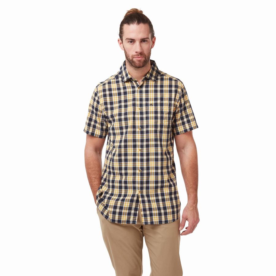 Grey Blue Craghoppers Jose Short Sleeved Men's Shirts | DMV5067BK