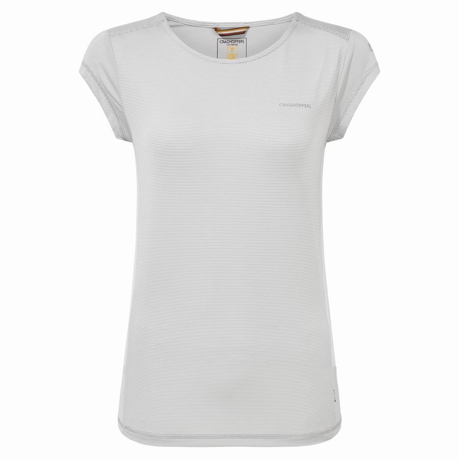 Grey Craghoppers Atmos Short Sleeved Women's T-Shirts | TJI3778NZ