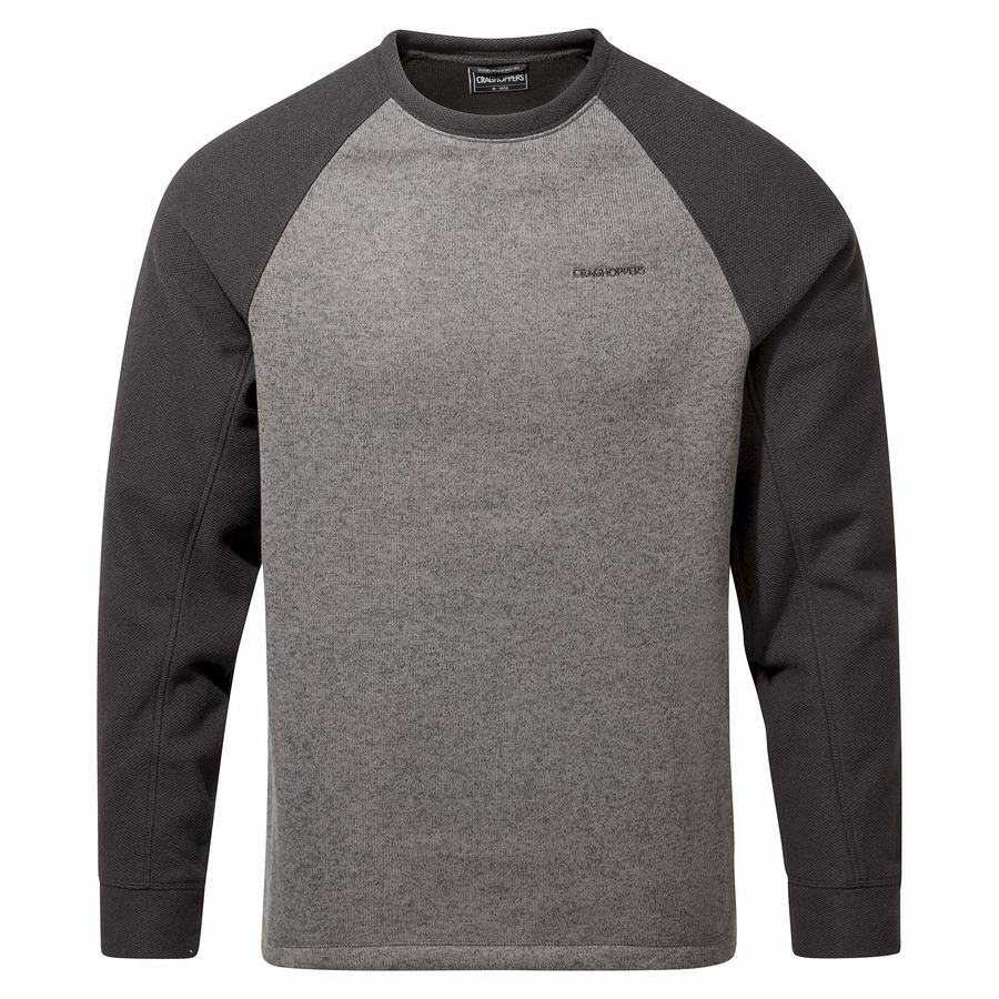 Grey Craghoppers Barker Jumper Men's Sweatshirts | BXB4857BA