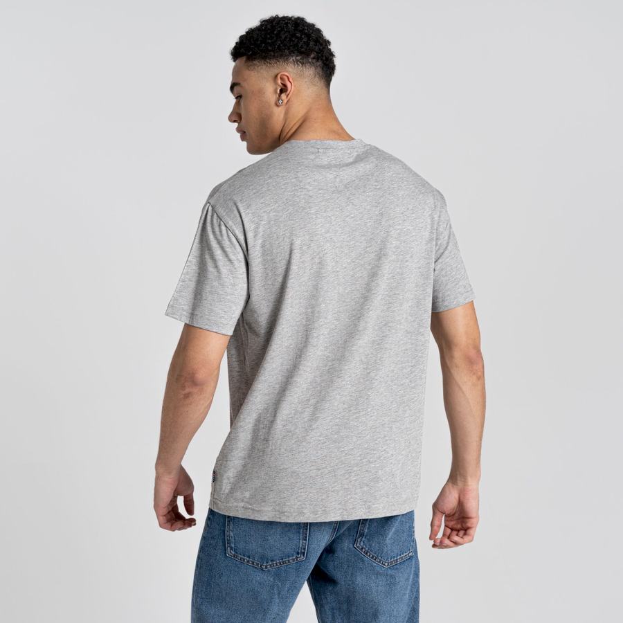 Grey Craghoppers Crosby Short Sleeved Men's T-Shirts | LHG5756OR