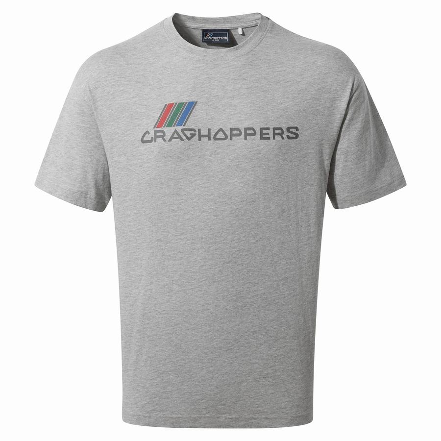 Grey Craghoppers Crosby Short Sleeved Men's T-Shirts | LHG5756OR