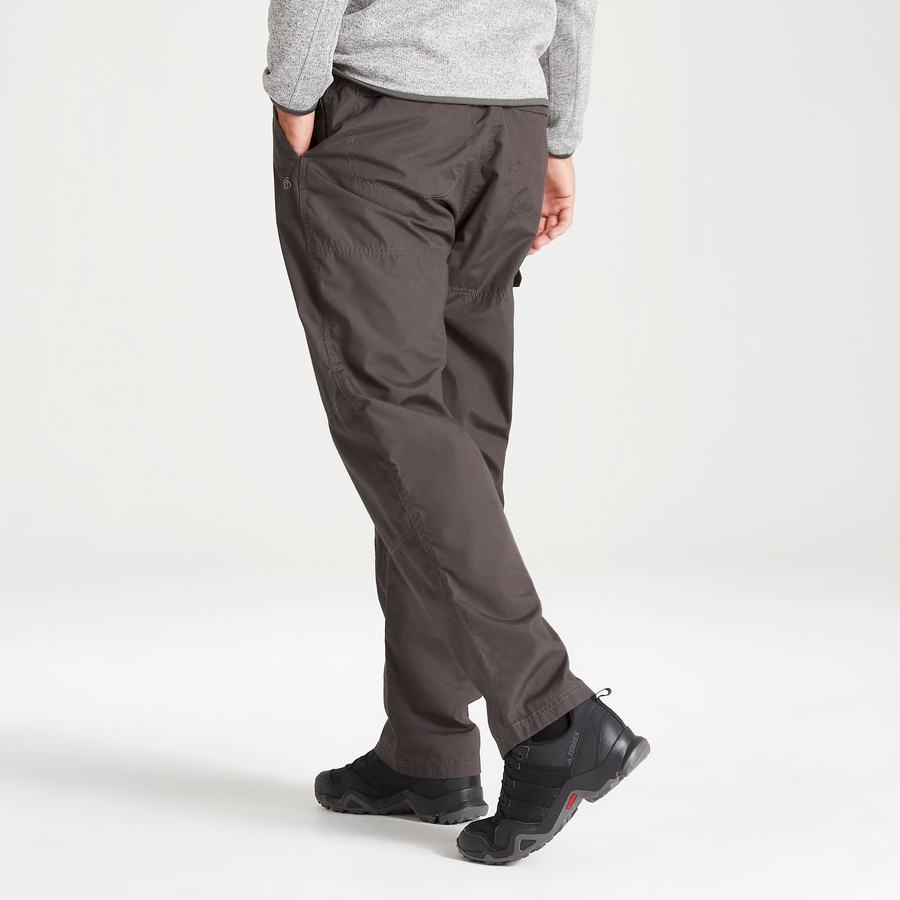 Grey Craghoppers Kiwi Classic Men's Trousers | KQI2559RB