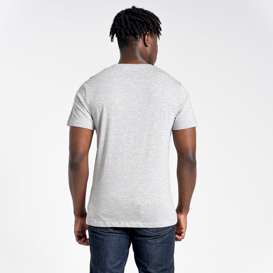 Grey Craghoppers Lugo Short Sleeved Men's T-Shirts | LYE7031OQ