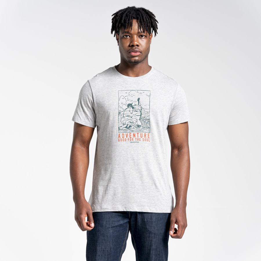 Grey Craghoppers Lugo Short Sleeved Men's T-Shirts | OLO187BR