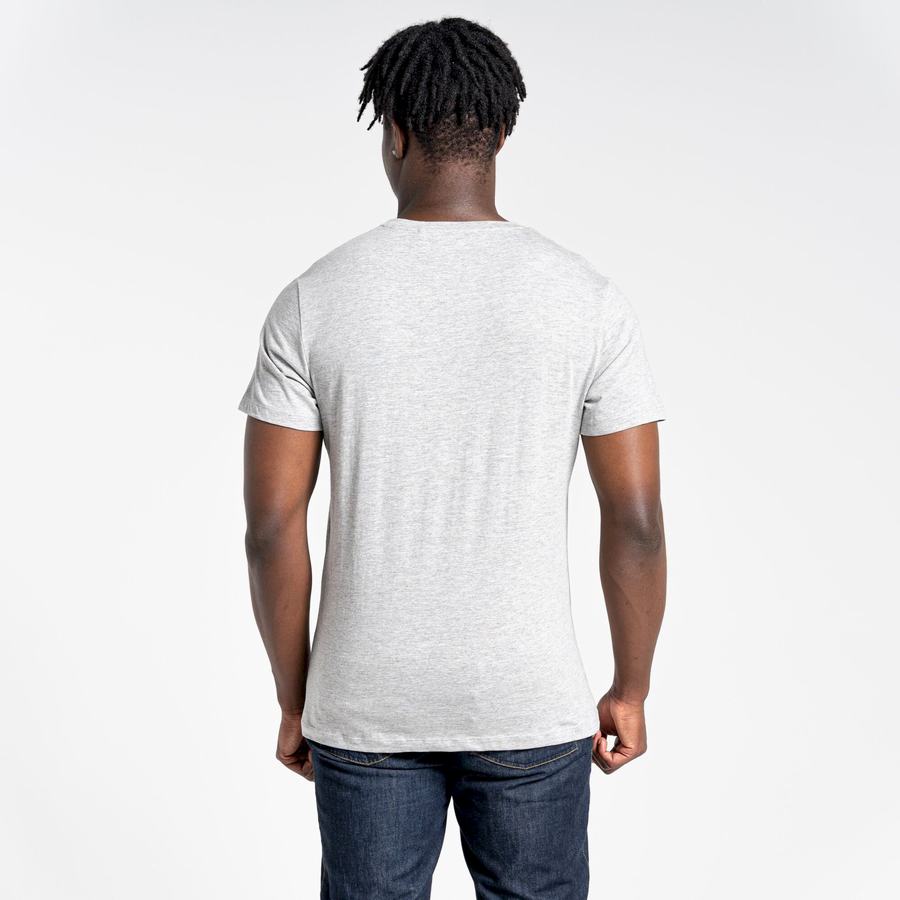 Grey Craghoppers Lugo Short Sleeved Men's T-Shirts | OLO187BR