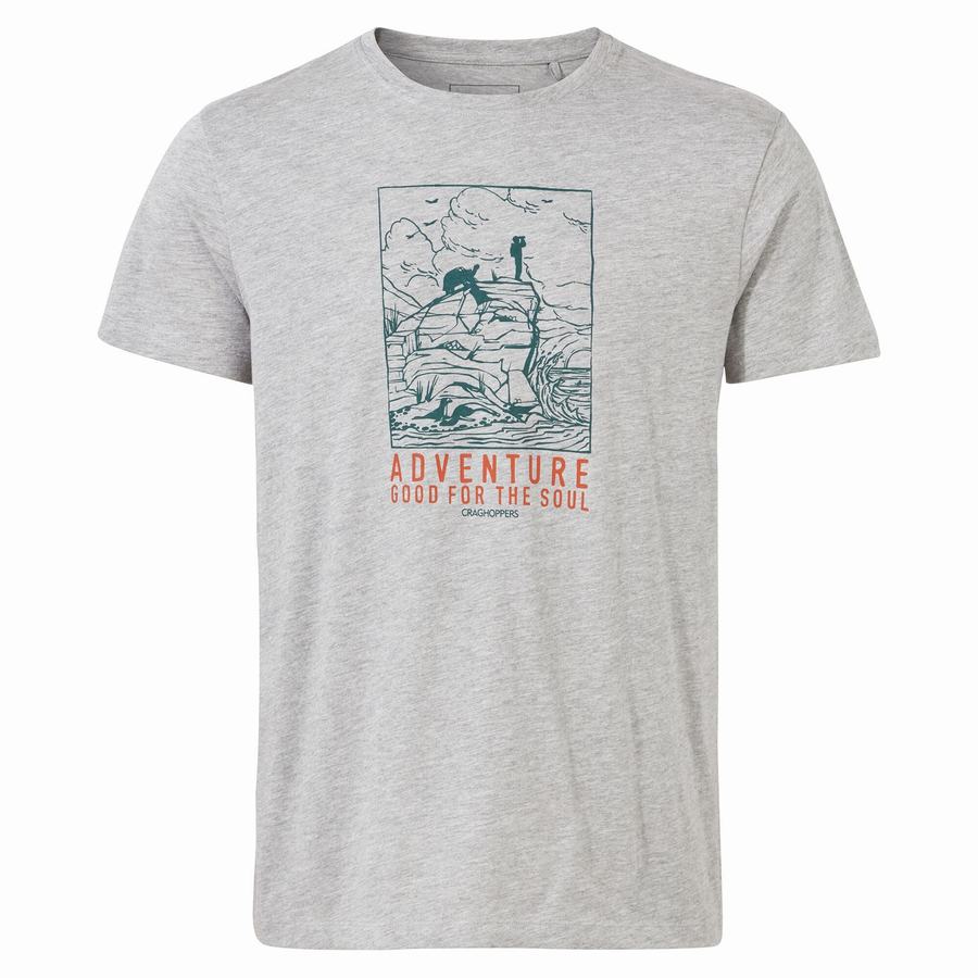 Grey Craghoppers Lugo Short Sleeved Men's T-Shirts | OLO187BR