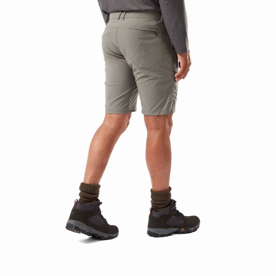 Grey Craghoppers NosiLife Pro Active Men's Shorts | XSW3313ZJ