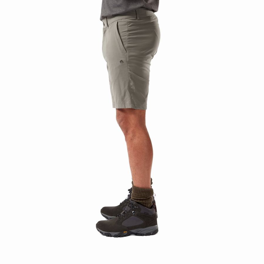 Grey Craghoppers NosiLife Pro Active Men's Shorts | XSW3313ZJ