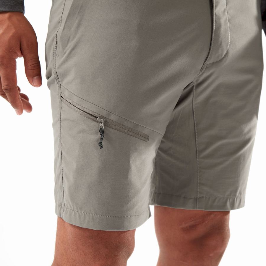 Grey Craghoppers NosiLife Pro Active Men's Shorts | XSW3313ZJ