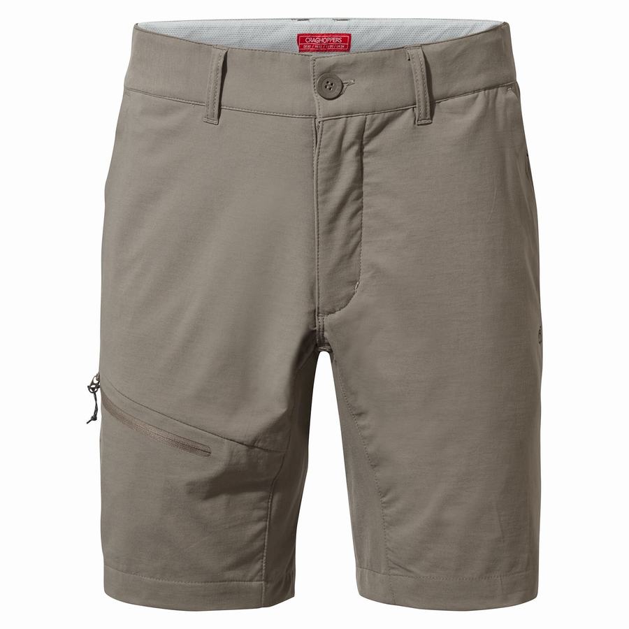 Grey Craghoppers NosiLife Pro Active Men's Shorts | XSW3313ZJ