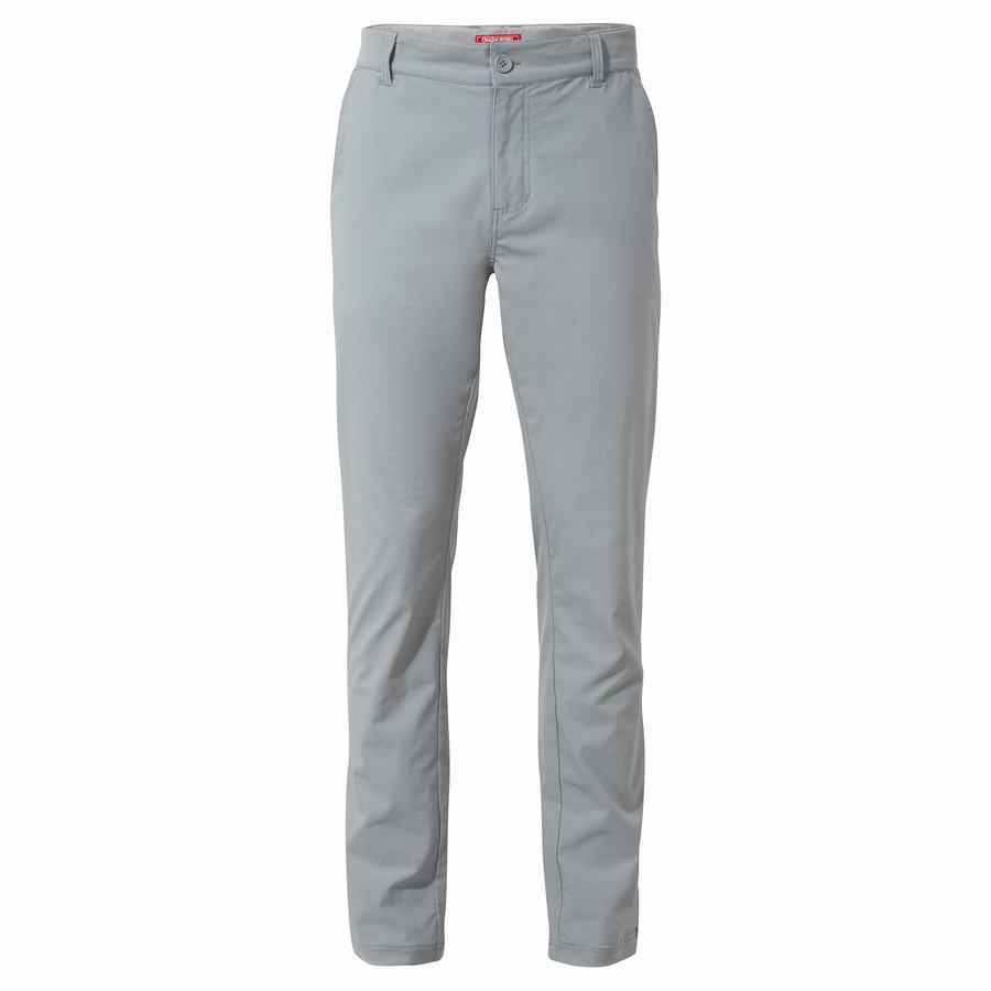 Grey Craghoppers NosiLife Santos Men's Trousers | ZQN571QL