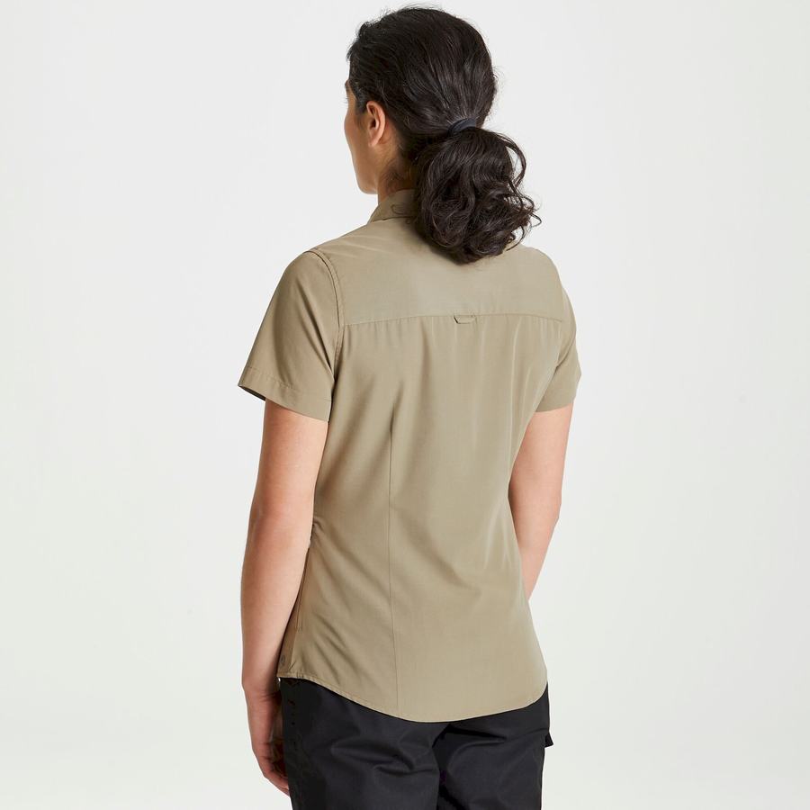 Khaki Craghoppers Expert Kiwi Short Sleeved Women's Shirts | HZO3530RE