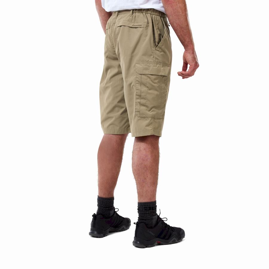 Khaki Craghoppers Kiwi Long Men's Shorts | XII4487SW