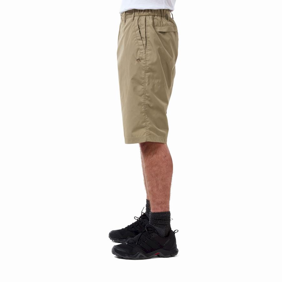 Khaki Craghoppers Kiwi Long Men's Shorts | XII4487SW