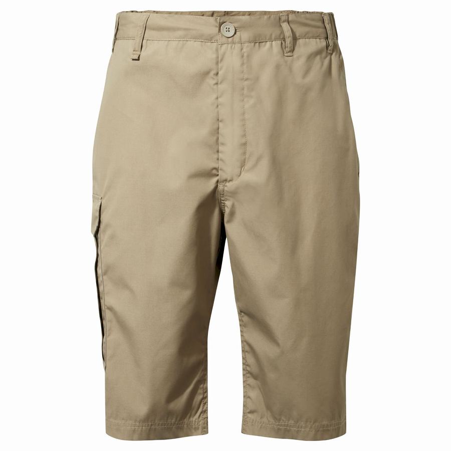 Khaki Craghoppers Kiwi Long Men's Shorts | XII4487SW