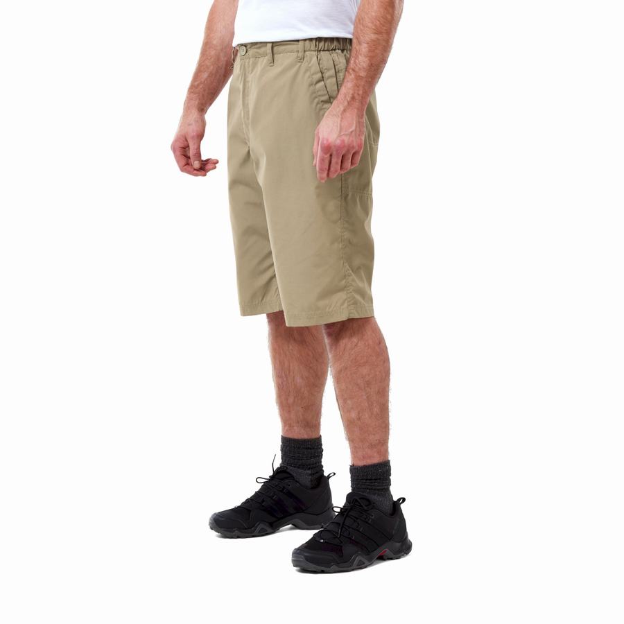 Khaki Craghoppers Kiwi Long Men's Shorts | XII4487SW