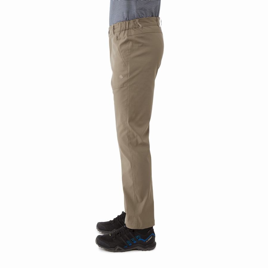 Khaki Craghoppers Kiwi Pro II Men's Trousers | CCD278GE