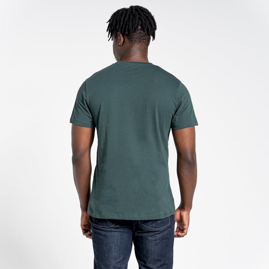 Light Green Craghoppers Lugo Short Sleeved Men's T-Shirts | NBE5896NQ