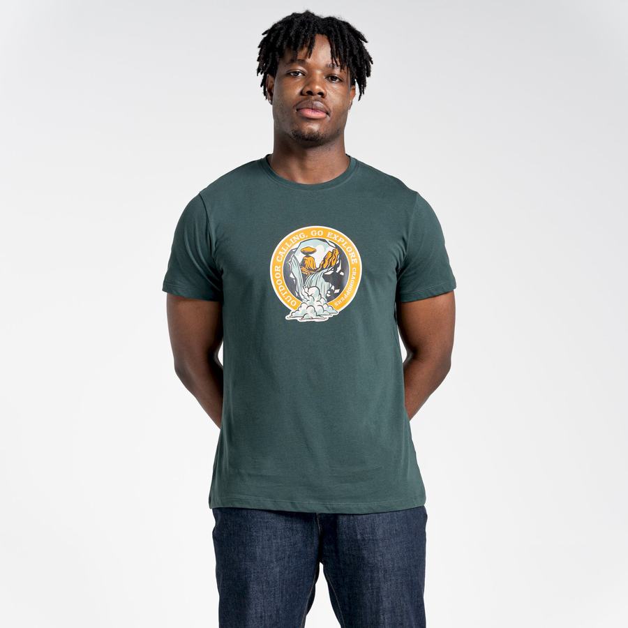 Light Green Craghoppers Lugo Short Sleeved Men's T-Shirts | NBE5896NQ