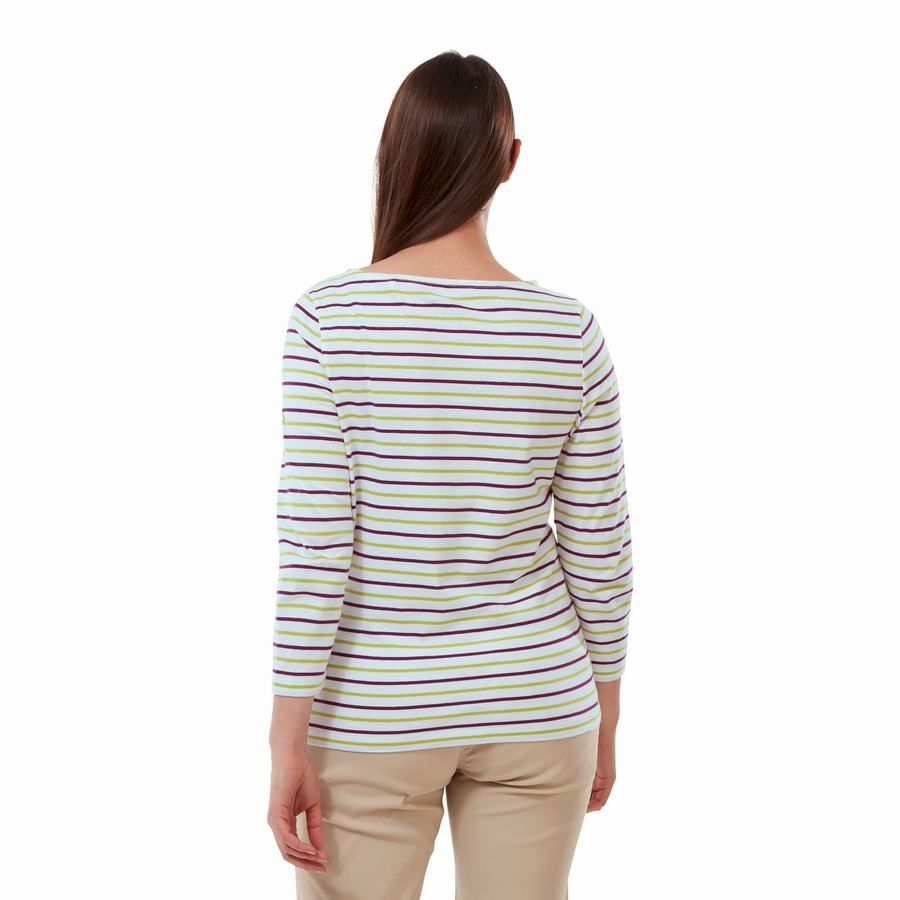 Light Green Stripes Craghoppers Blanca 3/4 Sleeved Top Women's T-Shirts | DZN1788PX