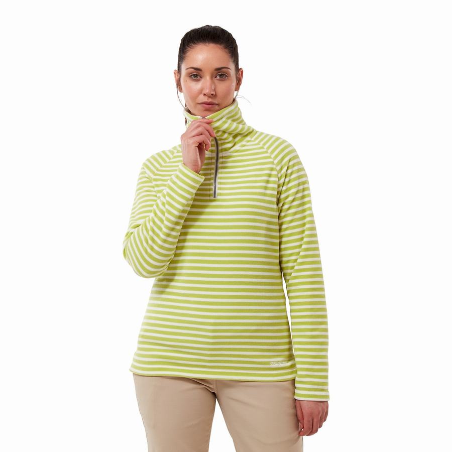 Light Green Stripes Craghoppers Natalia Half Zip Women's Sweaters | UNO7020WX