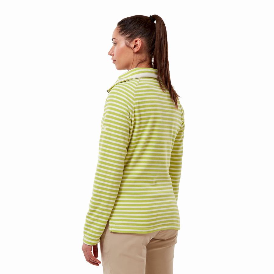 Light Green Stripes Craghoppers Natalia Half Zip Women's Sweaters | UNO7020WX