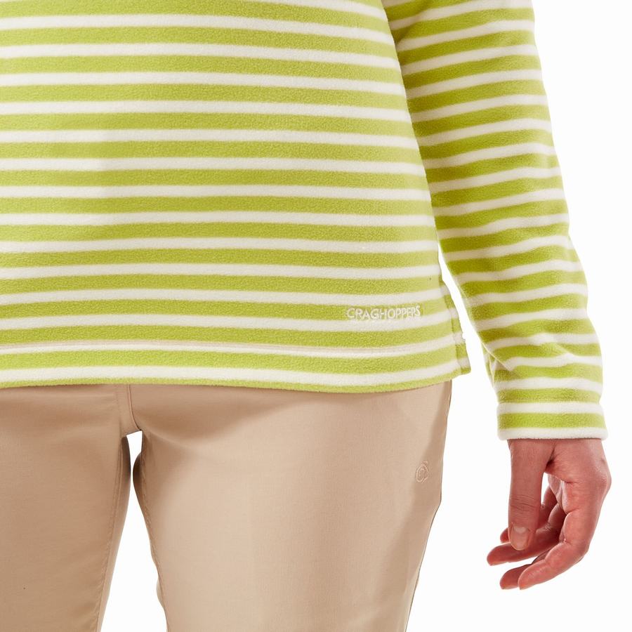 Light Green Stripes Craghoppers Natalia Half Zip Women's Sweaters | UNO7020WX