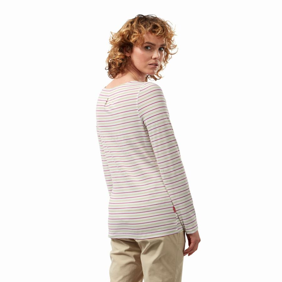 Light Green Stripes Craghoppers NosiLife Erin Long Sleeved Women's T-Shirts | PSV4416BH