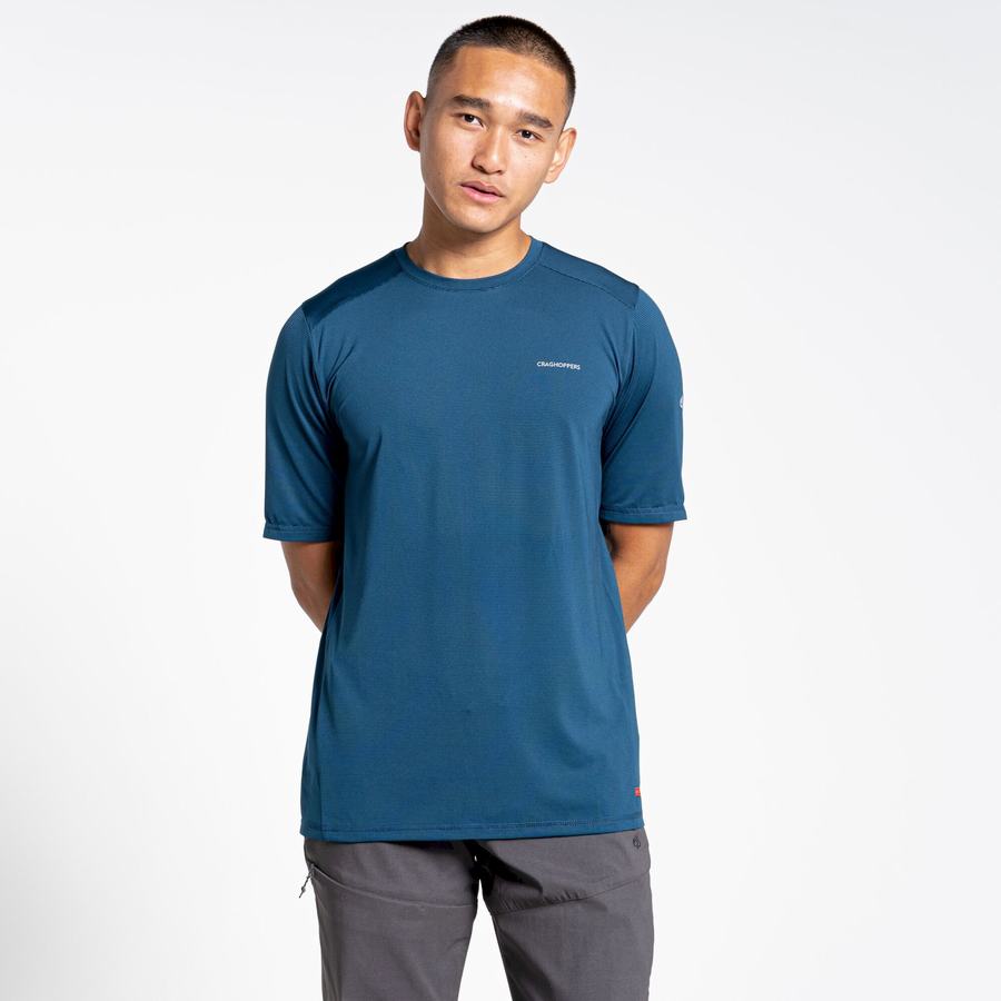 Navy Blue Craghoppers Belardo Short Sleeved Men's T-Shirts | CMO4428UM