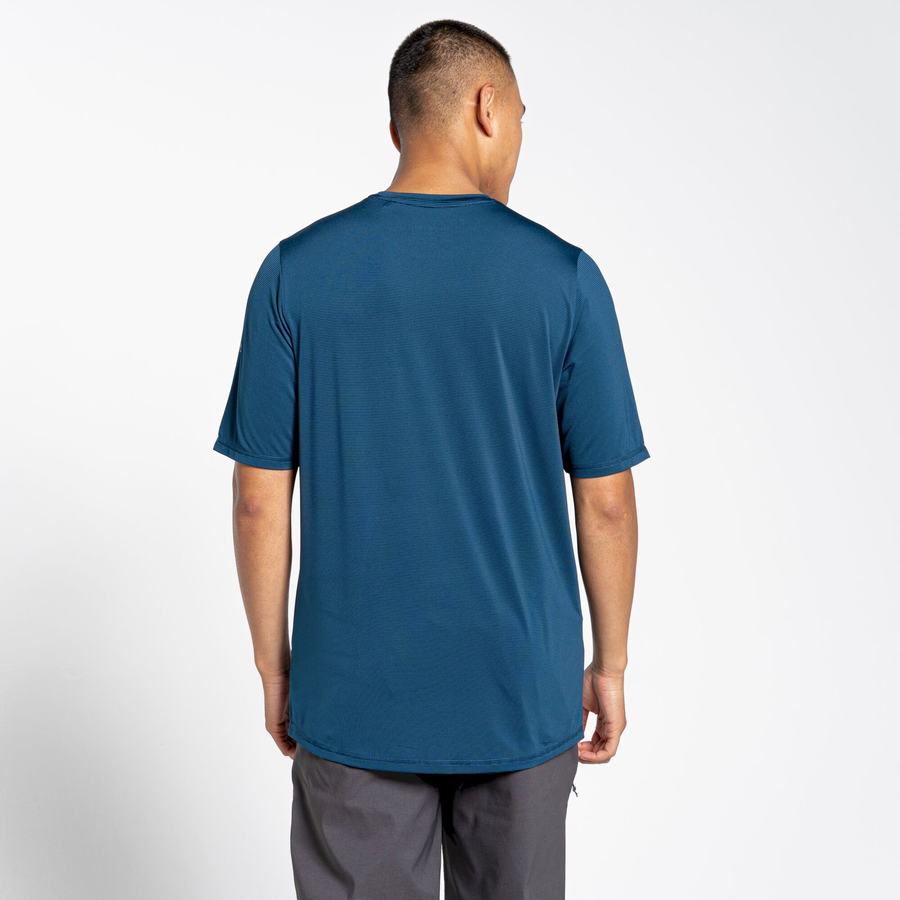 Navy Blue Craghoppers Belardo Short Sleeved Men's T-Shirts | CMO4428UM